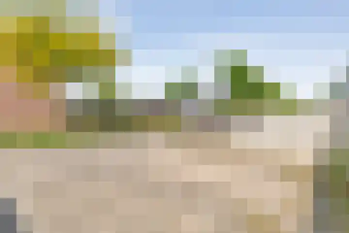 Balingerbrink 57 Emmen thumbnail 31