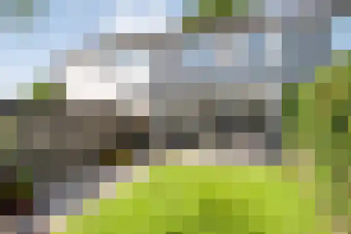 Balingerbrink 88 Emmen thumbnail 41