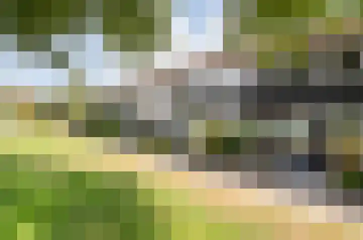 Balingerbrink 88 Emmen thumbnail 5