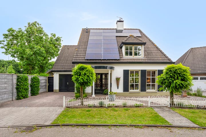 Balisboom 1 in Lierop Foto