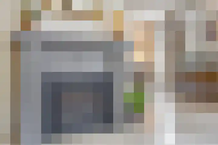 Balisboom 1 Lierop thumbnail 10