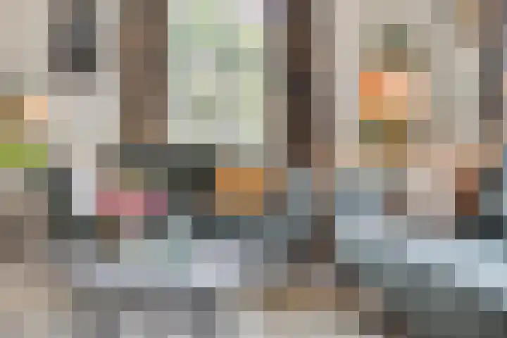 Balisboom 1 Lierop thumbnail 11