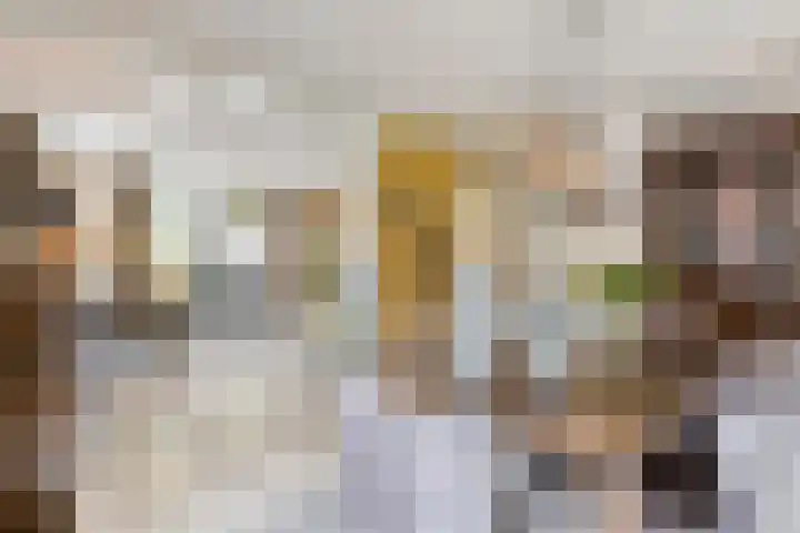 Balisboom 1 Lierop thumbnail 12