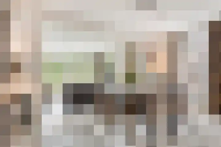 Balisboom 1 Lierop thumbnail 13
