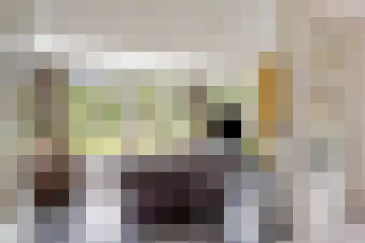Balisboom 1 Lierop thumbnail 14