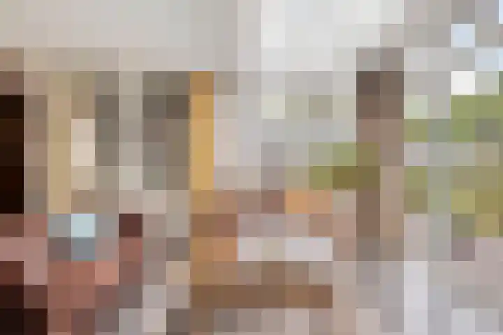 Balisboom 1 Lierop thumbnail 15