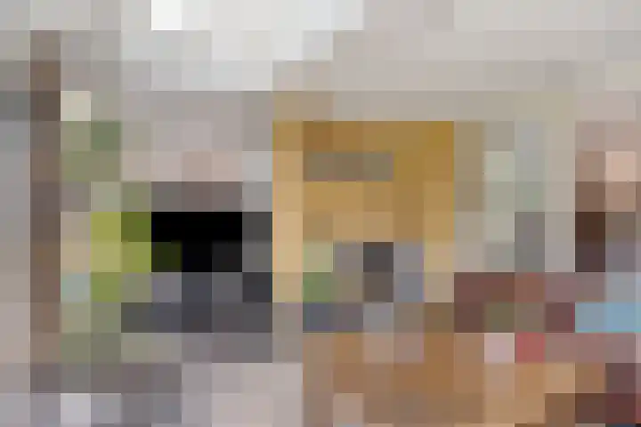 Balisboom 1 Lierop thumbnail 17