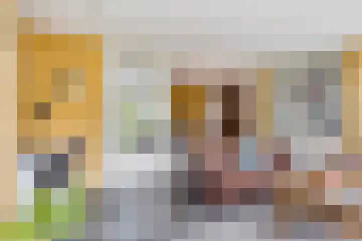 Balisboom 1 Lierop thumbnail 18