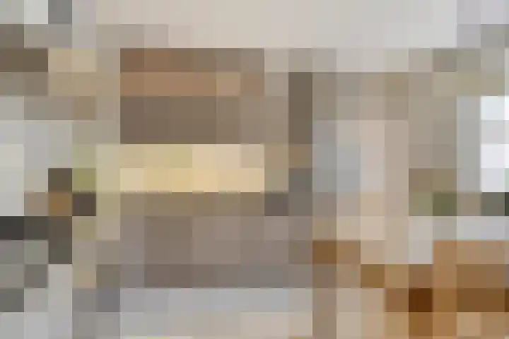 Balisboom 1 Lierop thumbnail 21