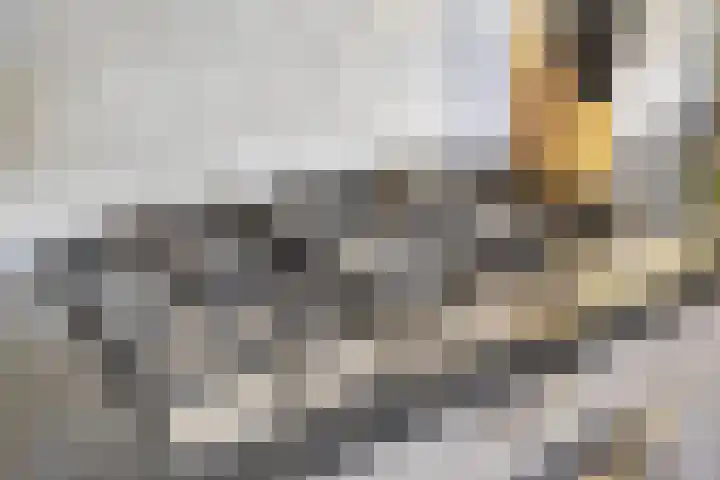 Balisboom 1 Lierop thumbnail 24