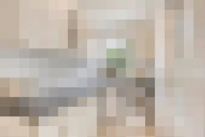 Balisboom 1 Lierop thumbnail 27