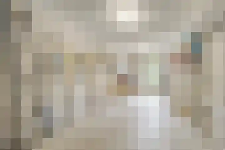 Balisboom 1 Lierop thumbnail 29