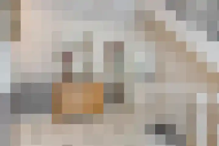 Balisboom 1 Lierop thumbnail 31