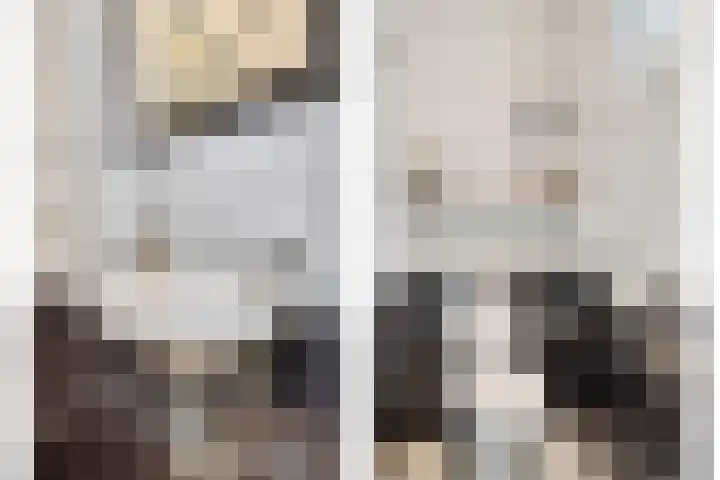 Balisboom 1 Lierop thumbnail 32