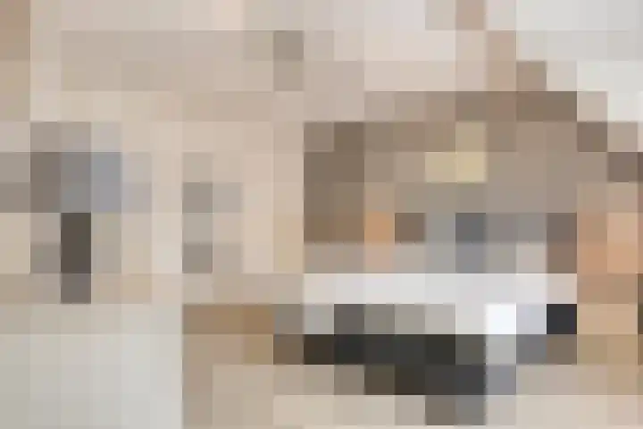 Balisboom 1 Lierop thumbnail 33