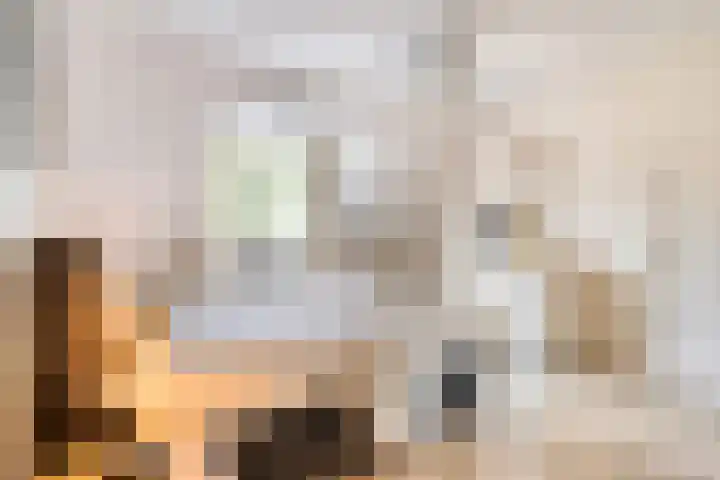 Balisboom 1 Lierop thumbnail 34