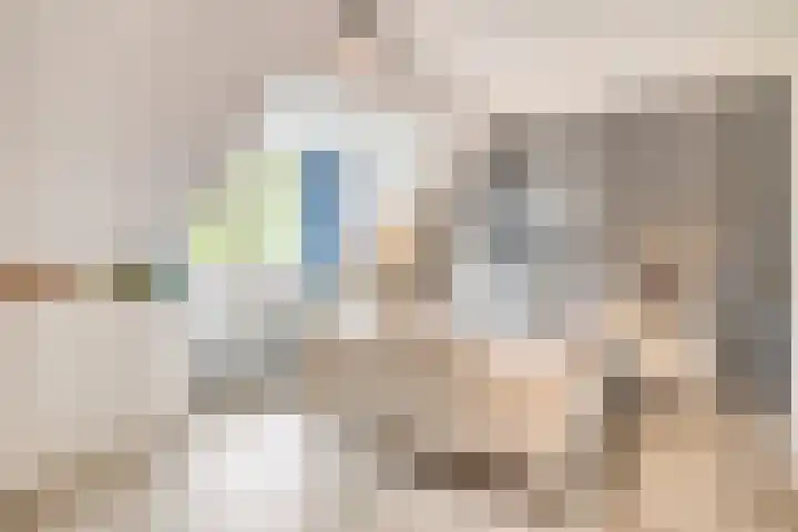 Balisboom 1 Lierop thumbnail 35