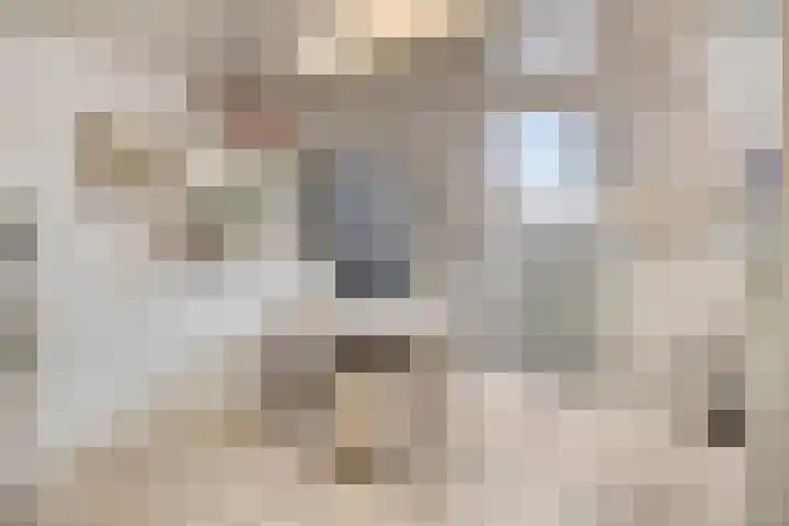Balisboom 1 Lierop thumbnail 39