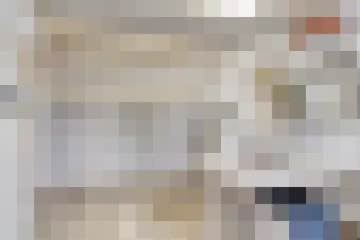 Balisboom 1 Lierop thumbnail 40