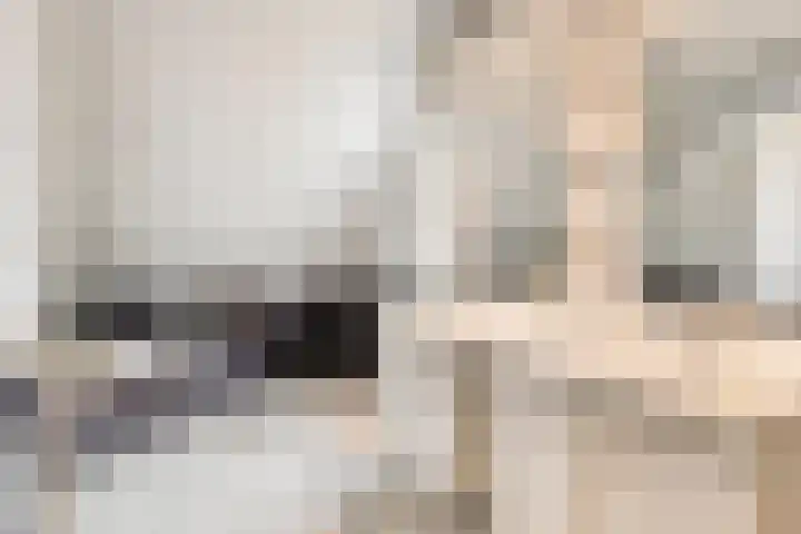 Balisboom 1 Lierop thumbnail 42