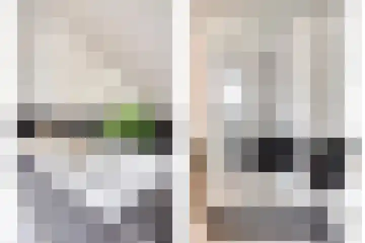 Balisboom 1 Lierop thumbnail 43
