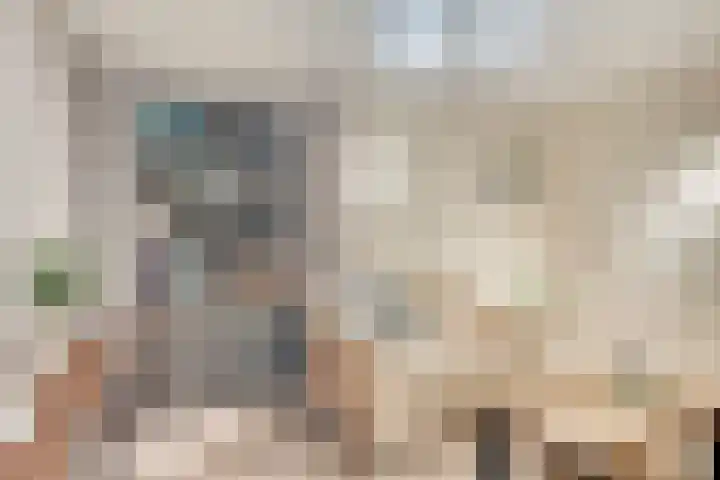 Balisboom 1 Lierop thumbnail 47