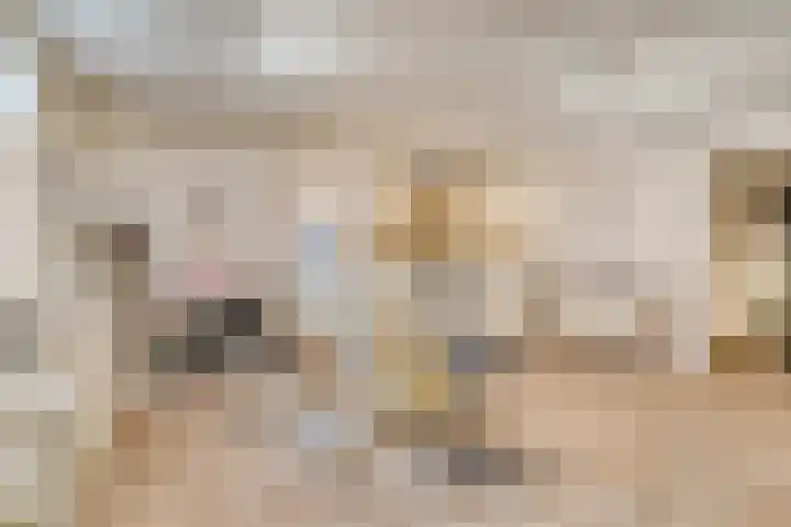 Balisboom 1 Lierop thumbnail 50