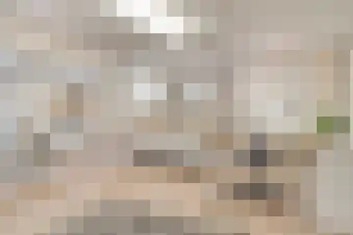 Balisboom 1 Lierop thumbnail 52