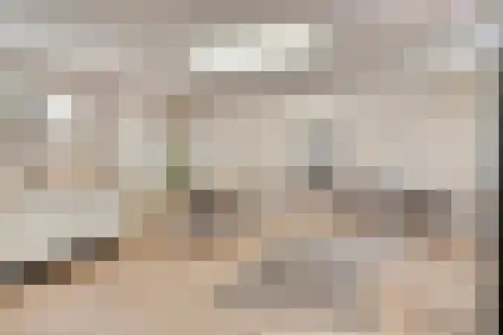 Balisboom 1 Lierop thumbnail 53