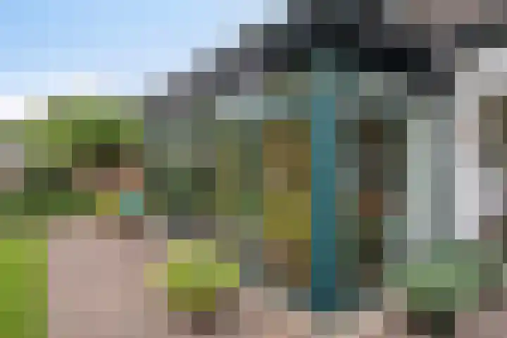 Balisboom 1 Lierop thumbnail 54