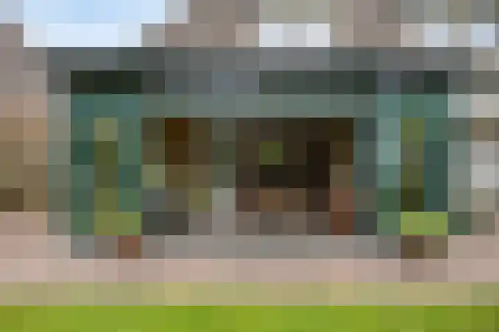 Balisboom 1 Lierop thumbnail 55
