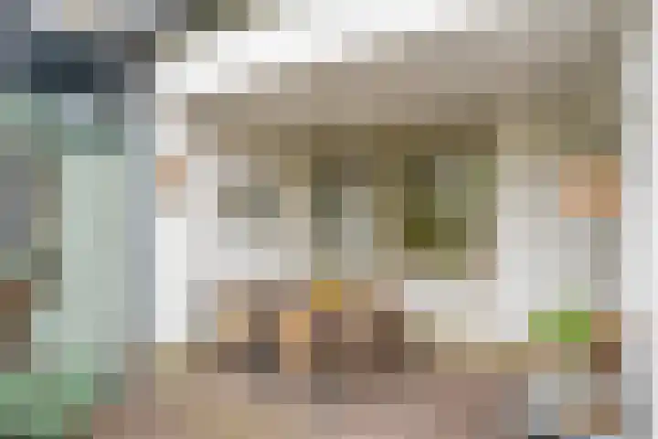 Balisboom 1 Lierop thumbnail 56