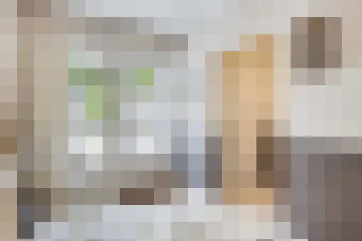 Balisboom 1 Lierop thumbnail 6