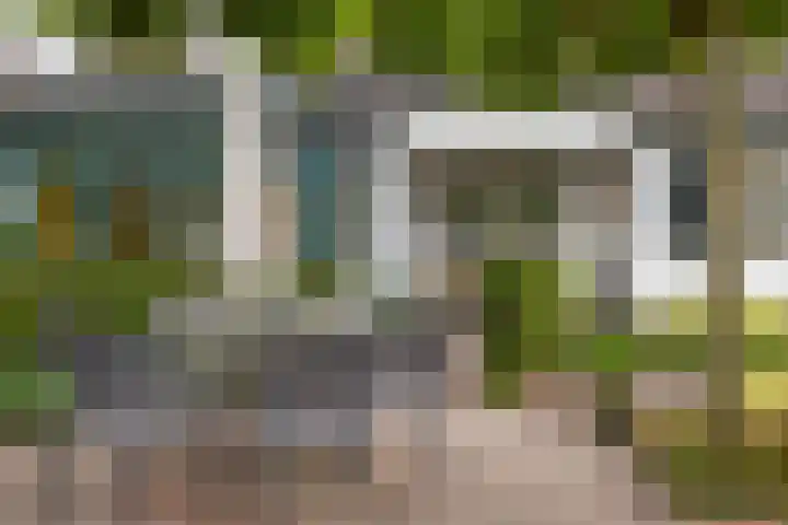 Balisboom 1 Lierop thumbnail 60