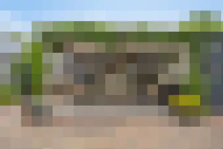 Balisboom 1 Lierop thumbnail 62