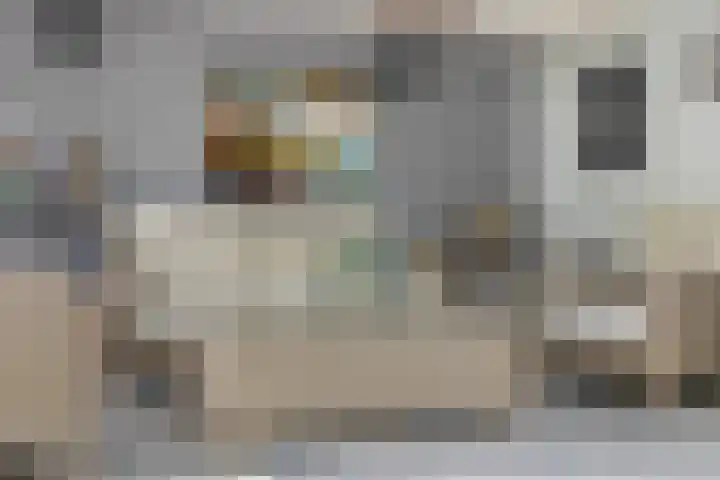 Balisboom 1 Lierop thumbnail 63