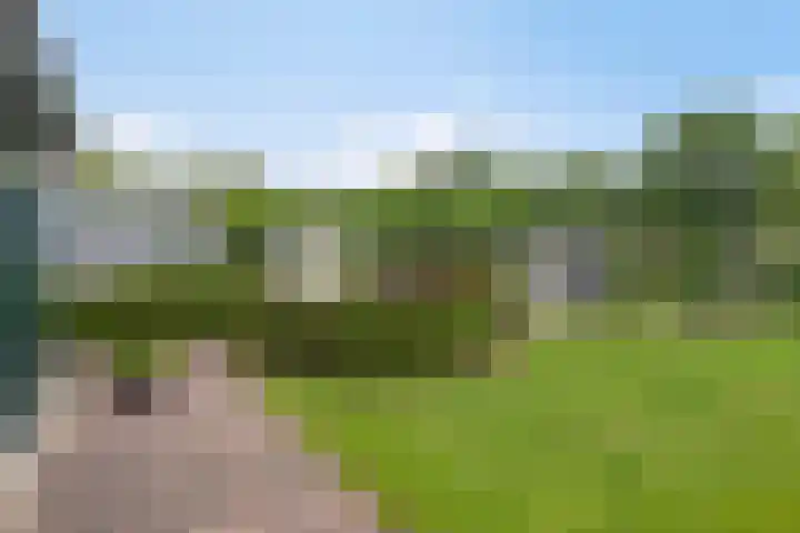 Balisboom 1 Lierop thumbnail 64