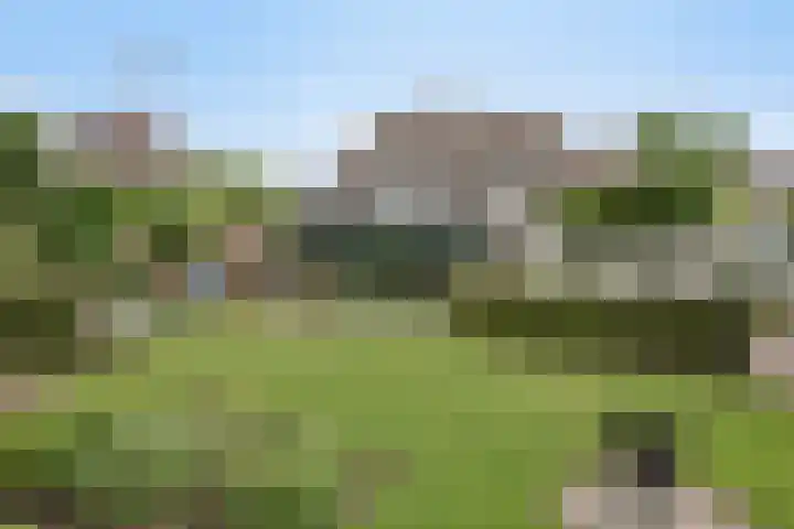 Balisboom 1 Lierop thumbnail 69