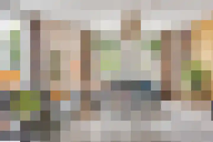Balisboom 1 Lierop thumbnail 7