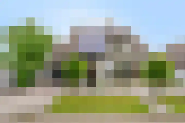 Balisboom 1 Lierop thumbnail 70
