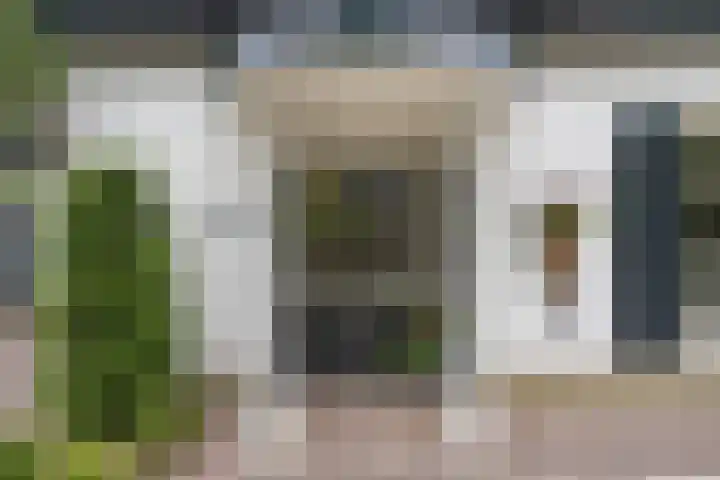 Balisboom 1 Lierop thumbnail 71