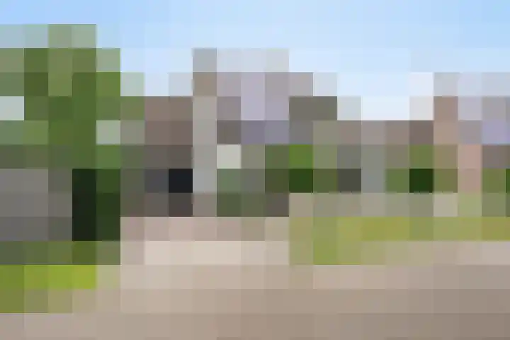 Balisboom 1 Lierop thumbnail 72