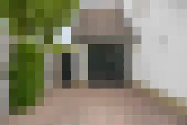 Balisboom 1 Lierop thumbnail 73