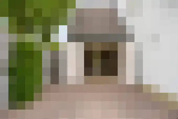 Balisboom 1 Lierop thumbnail 74