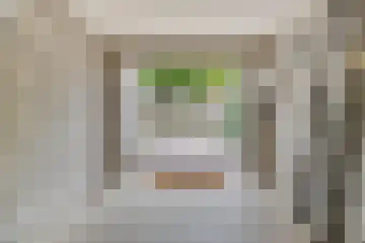 Balisboom 1 Lierop thumbnail 75