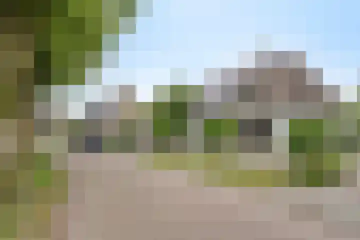 Balisboom 1 Lierop thumbnail 76