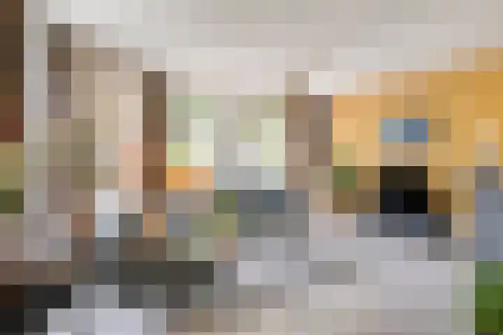 Balisboom 1 Lierop thumbnail 8
