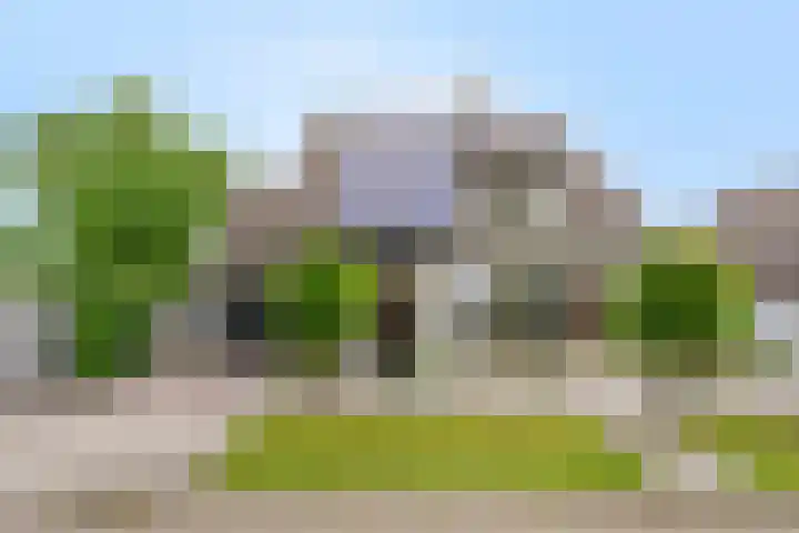 Balisboom 1 Lierop thumbnail 86