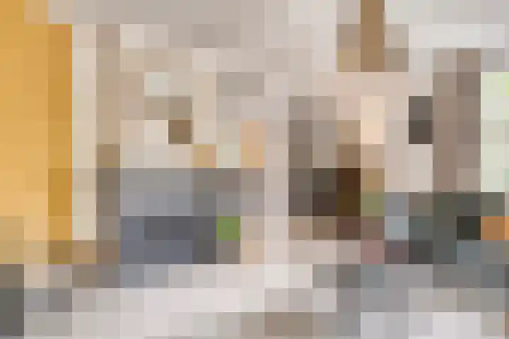 Balisboom 1 Lierop thumbnail 9