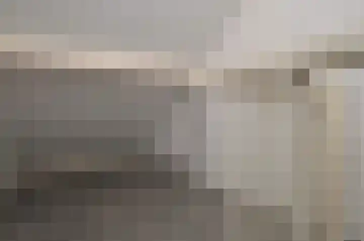 Balisboom 11 a Lierop thumbnail 19